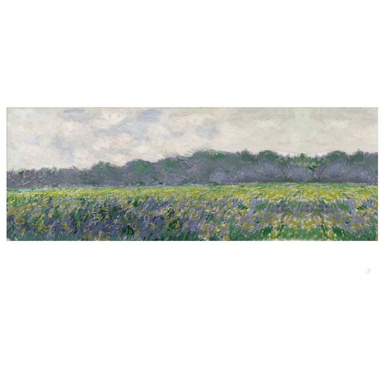 Women's scarf Claude Monet Field of yellow irises at Giverny